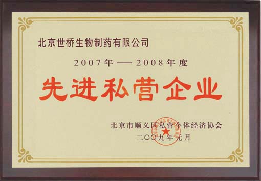先進私營企業